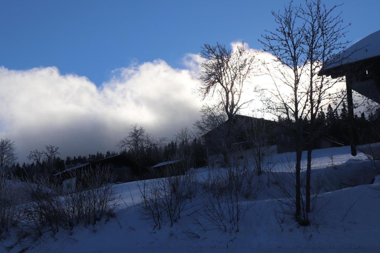 Fitapartman Mitterfirmiansreut Buitenkant foto