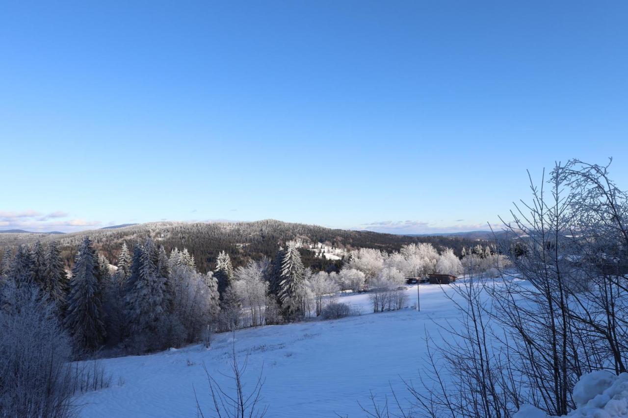 Fitapartman Mitterfirmiansreut Buitenkant foto