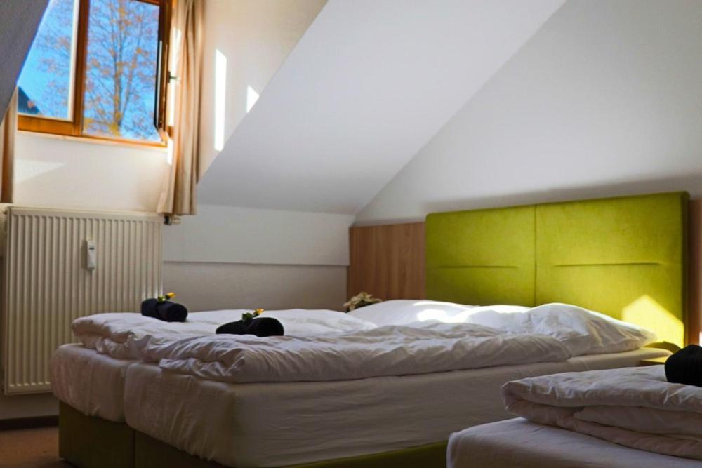 Fitapartman Mitterfirmiansreut Buitenkant foto