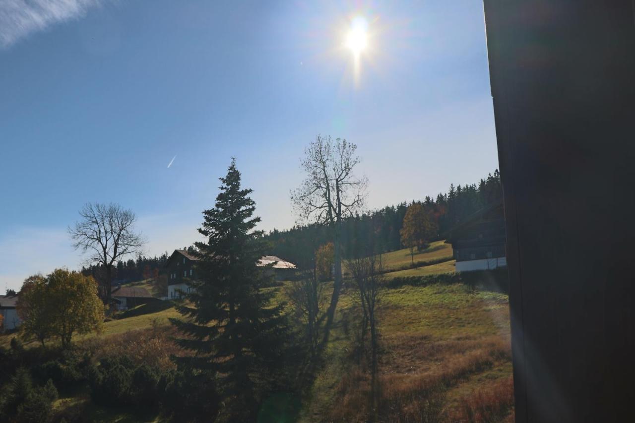 Fitapartman Mitterfirmiansreut Buitenkant foto