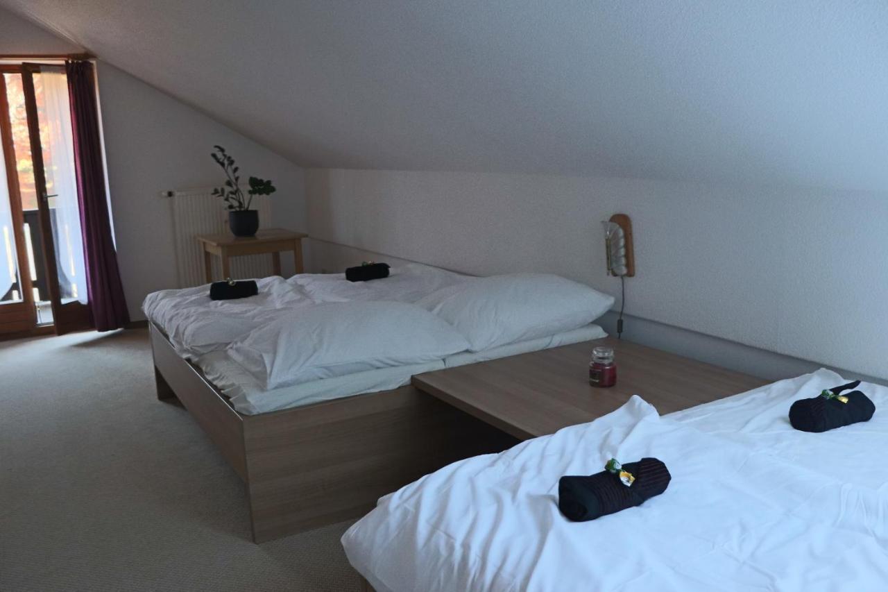 Fitapartman Mitterfirmiansreut Buitenkant foto