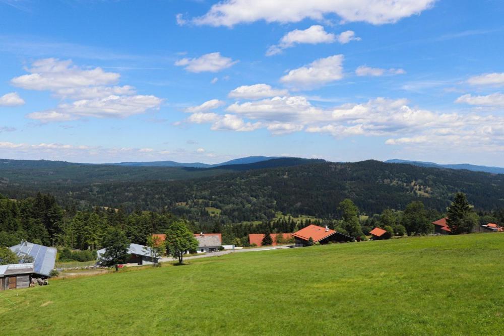 Fitapartman Mitterfirmiansreut Buitenkant foto