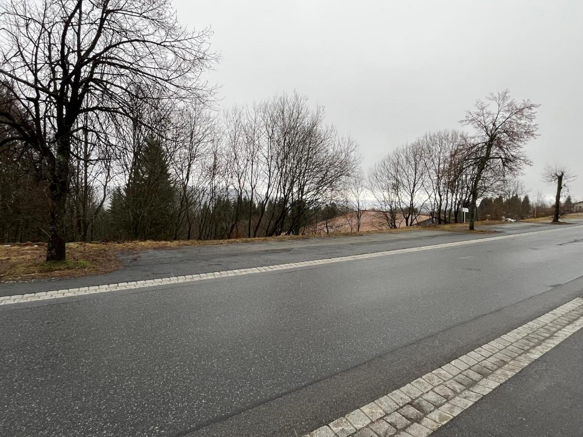 Fitapartman Mitterfirmiansreut Buitenkant foto